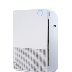 Alternative view of L Model