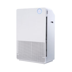 Alternative view of L Model