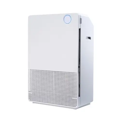 L Model - Image 2